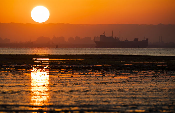 Суэцкая "пробка" не пробьет цены на нефть. Обзор