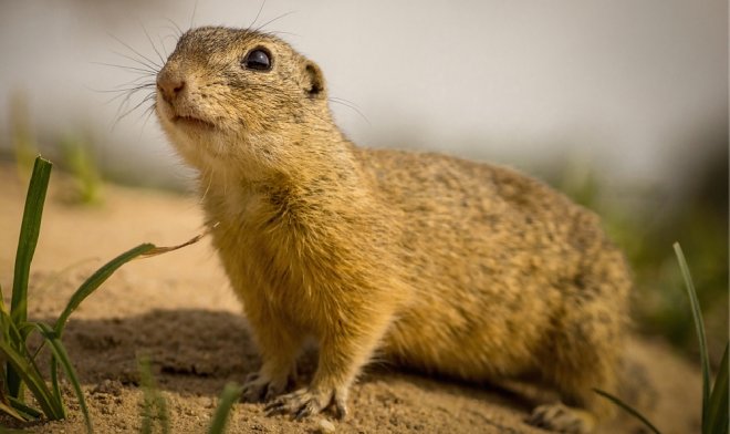 Технология airDNA позволит идентифицировать ДНК из воздуха