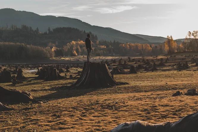 Только 3% суши остались нетронутыми человеком