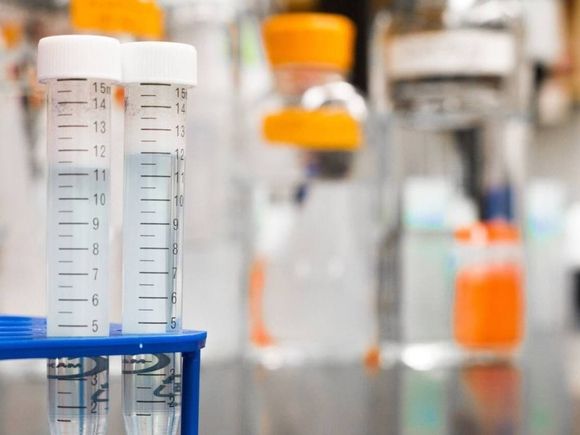 Ученые объявили о возможности вырастить человека в пробирке за пять недель