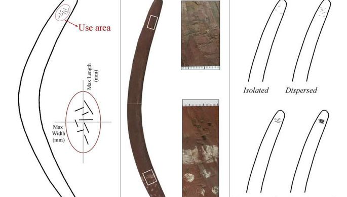 Ученые обнаружили неожиданную функцию бумерангов в древности