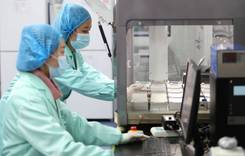 Ученые вырастили химерного зародыша человека и обезьяны