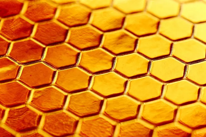 В меде нашли противовоспалительные наночастицы