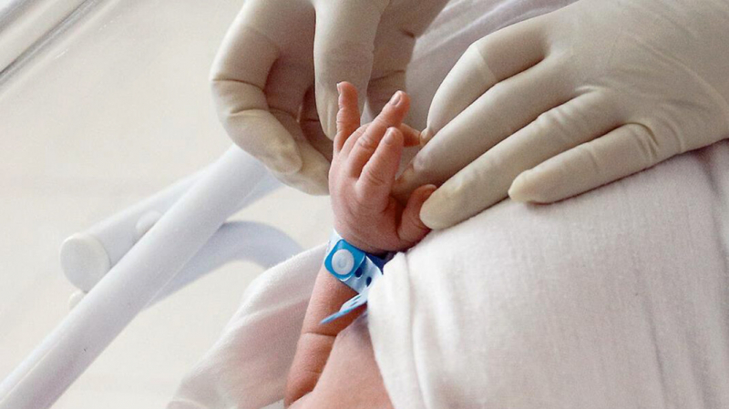 Власти предложили регистрировать россиян на портале «Госуслуги» при рождении