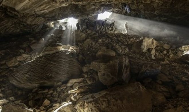 Впервые в истории ученым удалось секвенировать геном вымершего животного из пещерной грязи