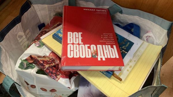 Активистку "Открытой России" Шевченко приговорили к условному сроку по делу о "нежелательной организации"