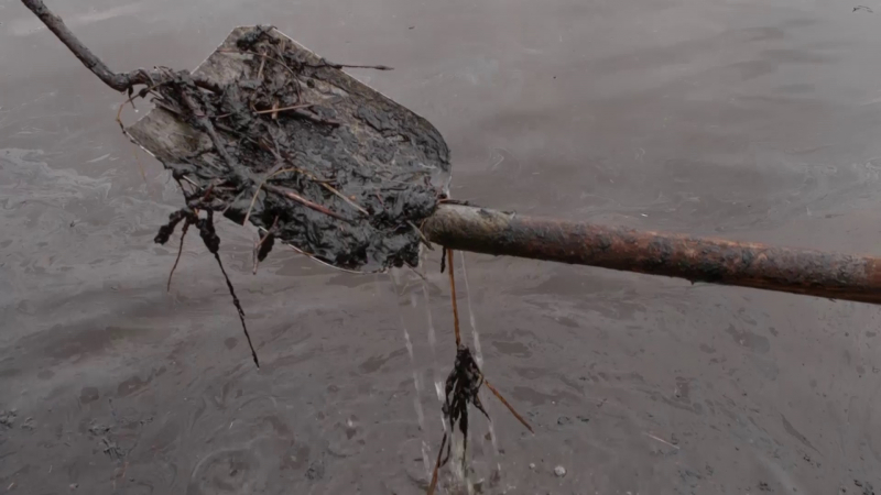 "Чем мы сейчас будем питаться – нефтью этой?" Как в Коми переживают экологическое бедствие и почему борьба с ним растянется на годы