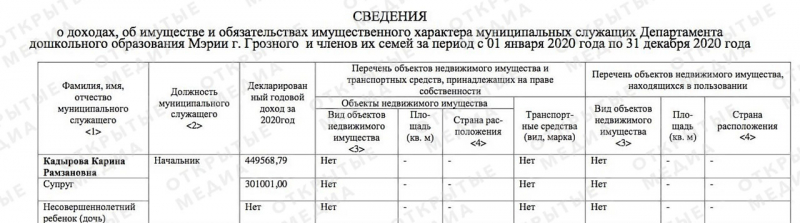 Дочь Рамзана Кадырова впервые раскрыла сведения о доходах. За год она заработала меньше полумиллиона рублей