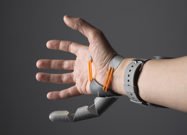 Дополнительный палец изменил представление руки в мозге