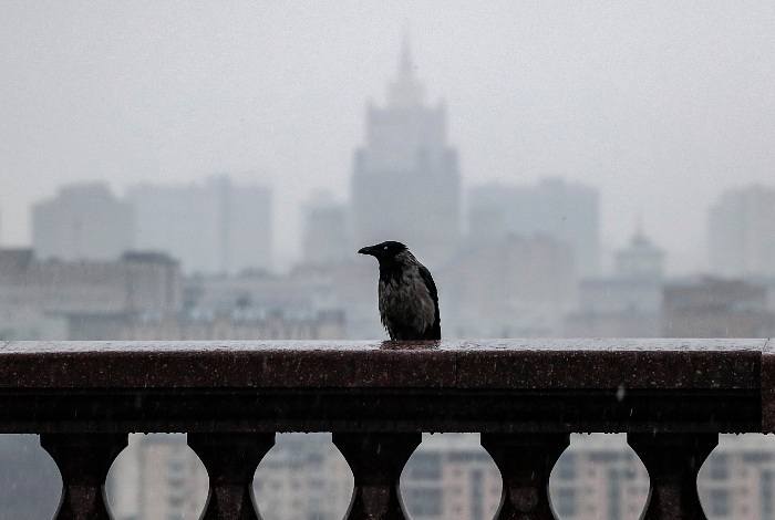 Дождь в московском регионе будет идти до утра воскресенья