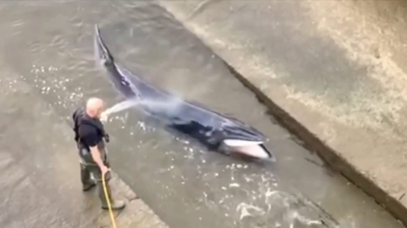 Дайджест: мир обеспокоен резким обострением между палестинцами и Израилем