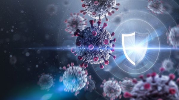 Ученые: иммунитет к коронавирусу у переболевших Covid-19 может быть пожизненным