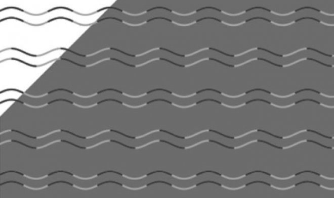 Иллюзия Такахаши доказывает, что почти у всех людей есть «слепота на кривизну»