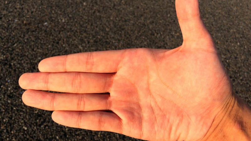 Открытие американских физиков пролило свет на принцип работы рук человека