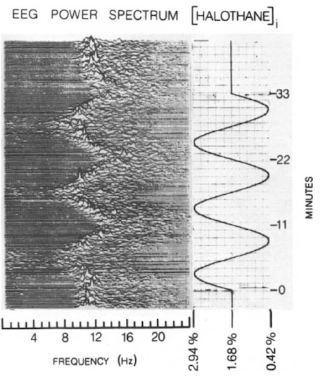 Резонанс Шумана: Секреты синхронизации электромагнитных полей Земли и живого организма.