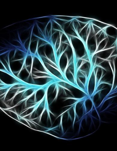 Состояние сознания может быть связано с квантовыми эффектами