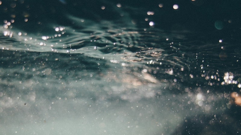 Столетнего осетра-монстра выловили из реки Детройт в США