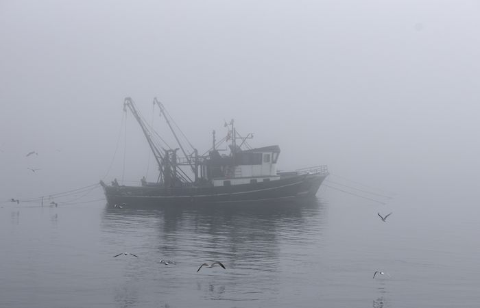 Три моряка погибли при столкновении японского и российского судов