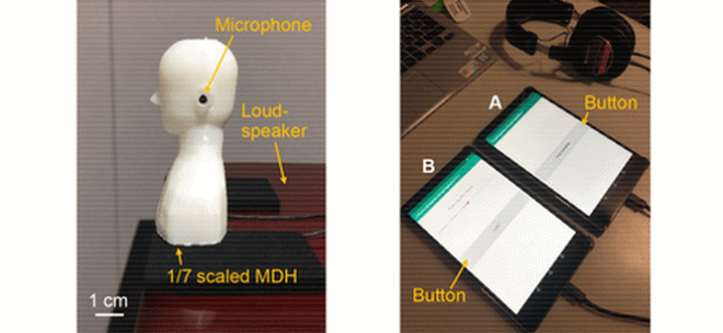 Ученые заявляют: люди способны развить в себе шестое чувство 