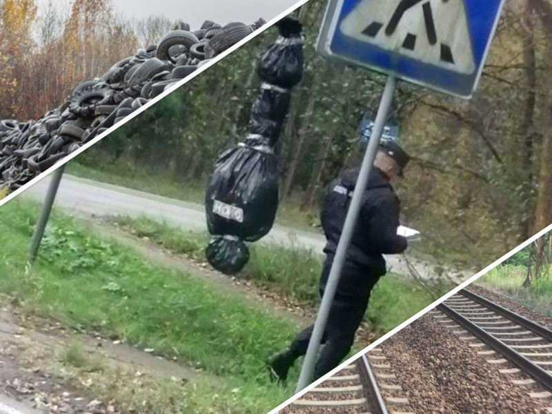 В Бресте 10 человек получили до 5 лет колонии за вывешивание чучел и поджог автопокрышек 