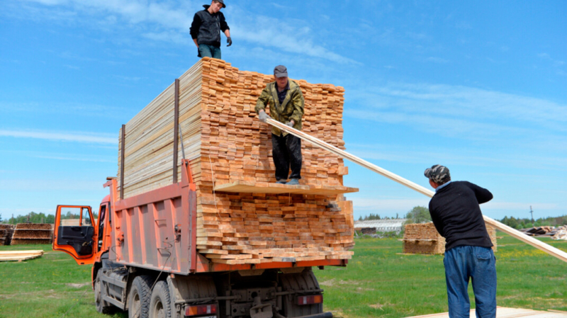 В России образовалась нехватка древесины для постройки загородных домов