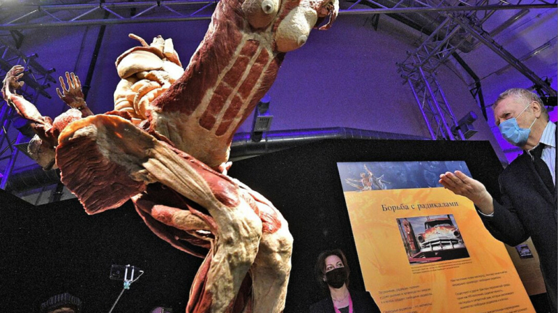 Власти не нашли нарушений на сайте возмутившей РПЦ анатомической выставки