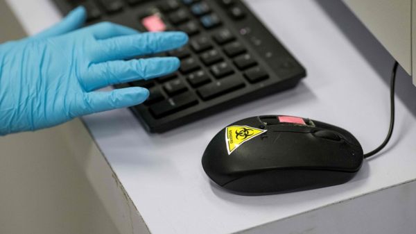 "В масках живут черви". Ученые выявили самые популярные фейки о Covid-19