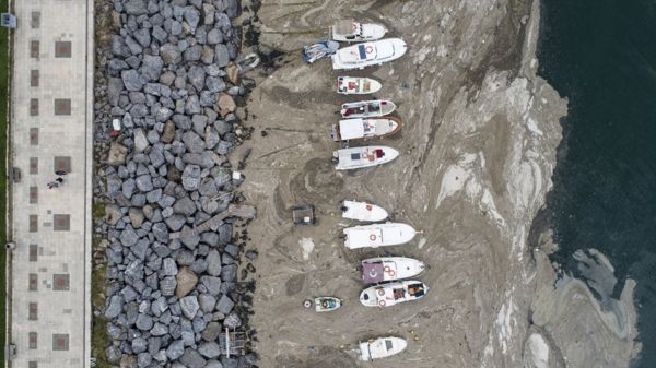 Турция: морская слизь покрыла берега Мраморного моря и угрожает Черному