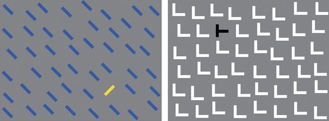 Армия США научит солдат видеть сквозь камуфляж 