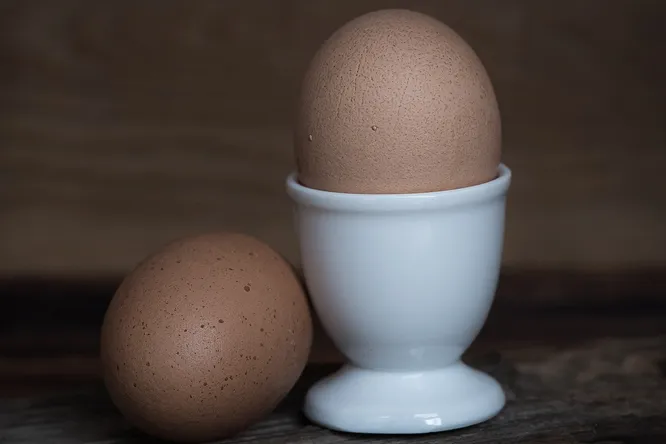 Человеческий мозг больше похож на тестикулы, чем на любой другой орган