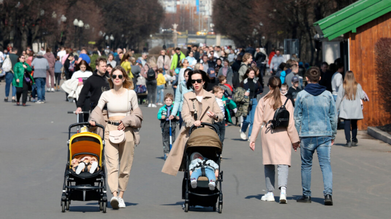 Депутат предложил отменить материнский капитал для богатых. В Совфеде и «Единой России» его не поддержали