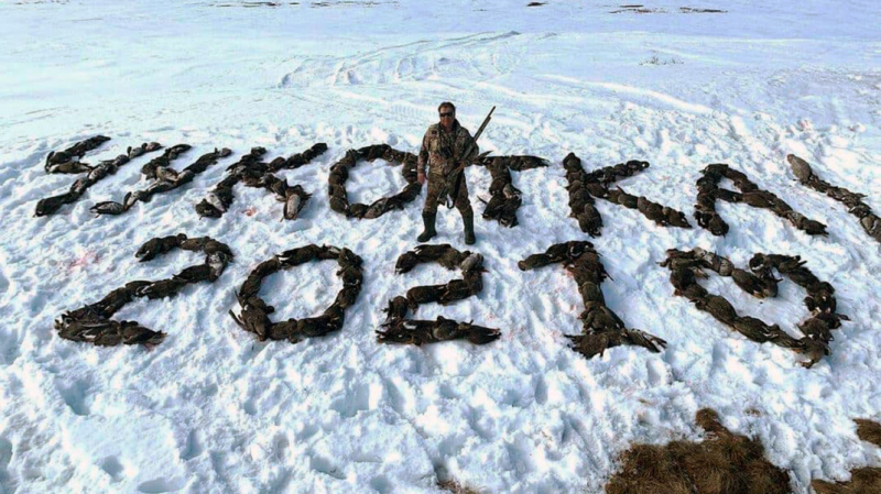 «Единая Россия» приостановила членство депутата с Магадана, сфотографировавшегося с трупами птиц