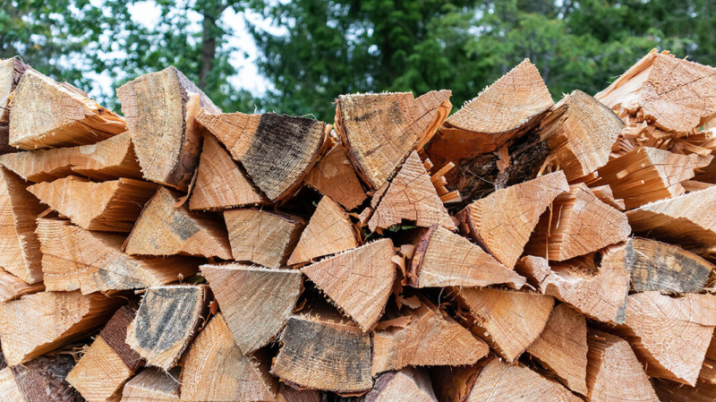 Федеральное казначейство закупает дрова в Тыве, чтобы отапливать помещение ведомства на улице Шойгу