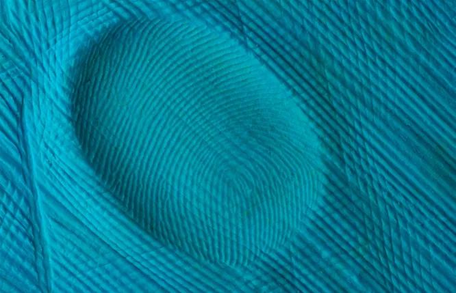 Хиромантия XXI века: можно ли научно изучать личность по линиям на ладонях