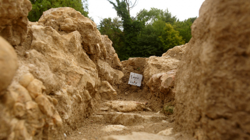 Итальянские ученые разобрались в технологии изготовления древних идолов из долины Асанто