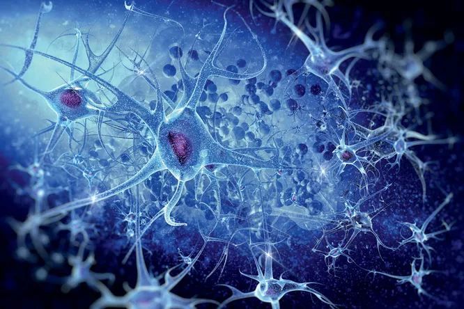 Прионы: чем на самом деле опасны молекулы-зомби