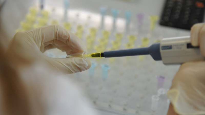 Ученые из США обнаружили неожиданный способ защиты от коронавируса