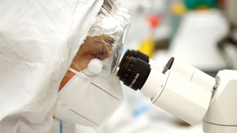 Ученые выявили неточность в теории Дарвина