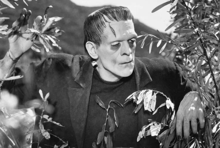 Ученые заставили самцов крыс забеременеть