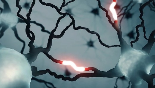 В человеческом мозге обнаружен невиданный ранее тип сигнала