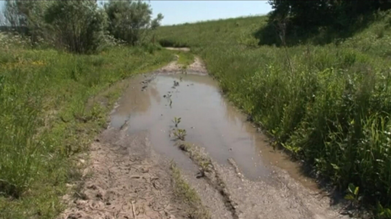 Жители хутора под Курском пожаловались Путину на отсутствие дороги. Чиновники больше 20 лет игнорируют их