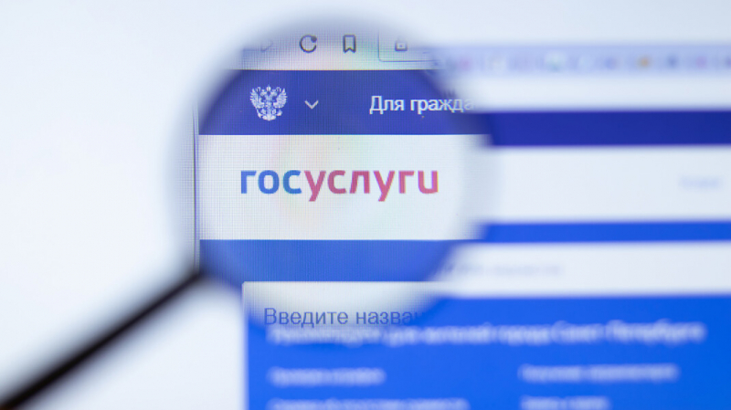 Журналистка рассказала о взломе её страницы на «Госуслугах» с аккаунта «Единой России»