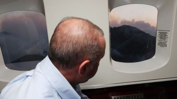 В Турции задержали подозреваемого в поджоге лесов. Юг страны объявлен зоной бедствия