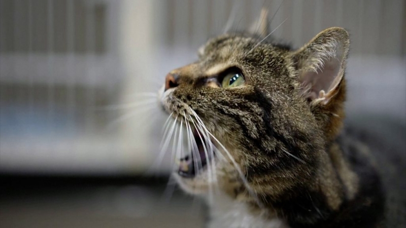 Дайджест: Байден рассказал, какие проблемы он почувствовал у Путина