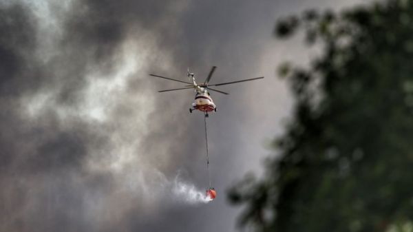 В Турции задержали подозреваемого в поджоге лесов. Юг страны объявлен зоной бедствия