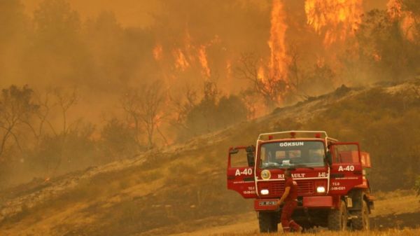 Фото: в Турции бушуют лесные пожары, часть туристов эвакуировали
