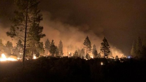 Дайджест: пожары, наводнения, миллиардеры-космонавты и ковидные Игры