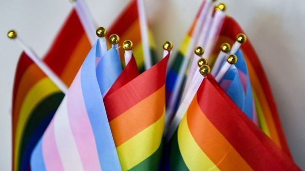 ЕСПЧ признал дискриминацией ограничение трансгендерной россиянки в родительских правах