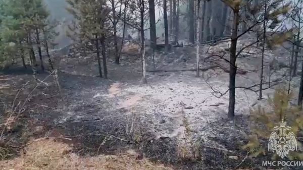 Лесные пожары в Якутии: "Гринпис" не ждет улучшения ситуации до середины августа