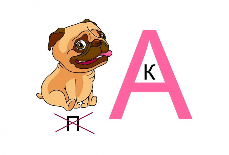 Алексею Навальному в колонию запрещают передавать ребусы. Даже с ответами